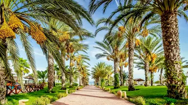 Club Palm Azur