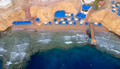 Club Reef