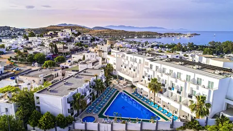 Hotel Club Shark