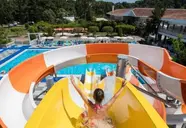 Club Turtle's Marco Polo