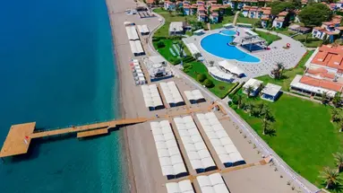 Club Turtle's Marco Polo