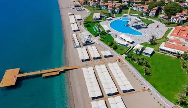 Club Turtle's Marco Polo