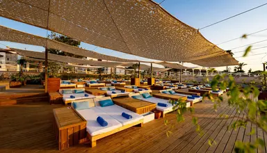Club Turtle's Marco Polo