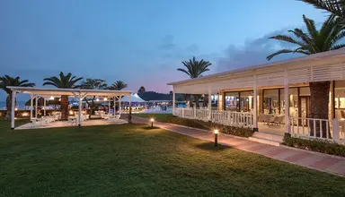 Club Turtle's Marco Polo