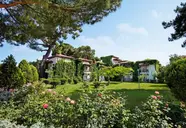 Club Turtle's Marco Polo