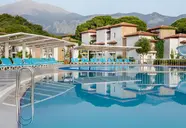 Club Turtle's Marco Polo