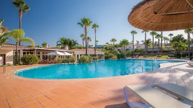 Clube Porto - Mos