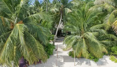 Coco Bodu Hithi