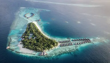 Coco Bodu Hithi