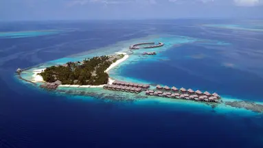 Coco Bodu Hithi