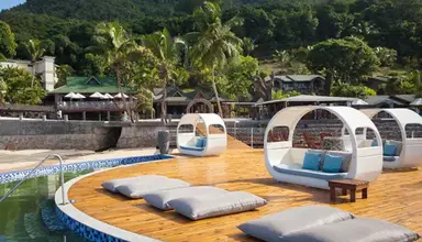 Coco De Mer & Black Parrot