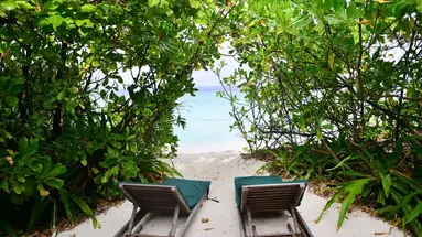 Coco Palm Dhuni Kolhu