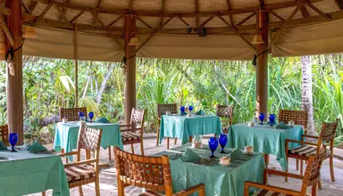 Coco Palm Dhuni Kolhu
