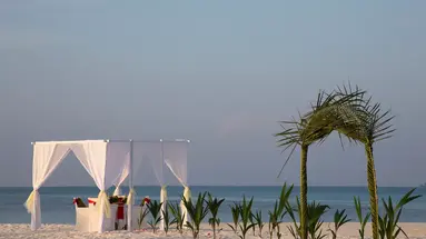 Coco Palm Dhuni Kolhu