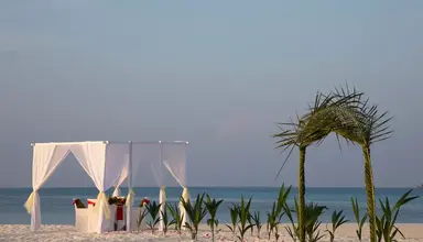 Coco Palm Dhuni Kolhu