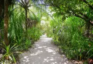 Coco Palm Dhuni Kolhu