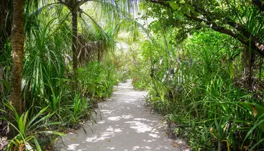 Coco Palm Dhuni Kolhu