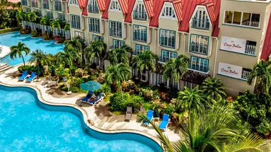 Coco Palm