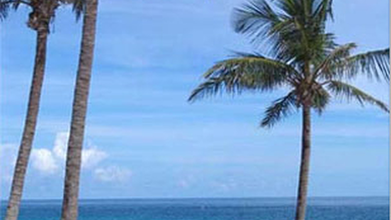 Coco Reef