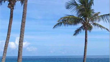 Coco Reef