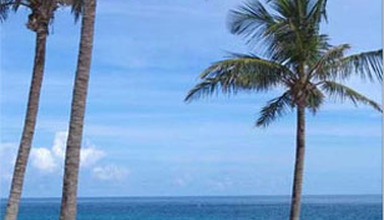 Coco Reef