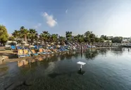 Coconut Beach
