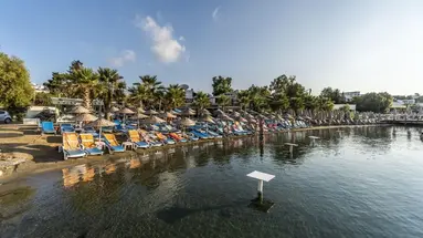 Coconut Beach