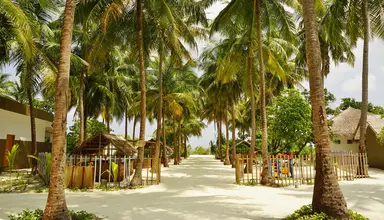 Cocoon Maldives