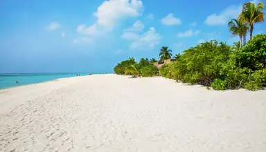 Cocoon Maldives