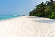 Cocoon Maldives