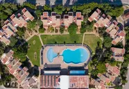 Comitas Isla del Aire