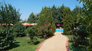 Consul