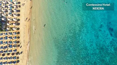 Contessina