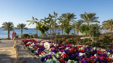 Continental Plaza Beach Resort