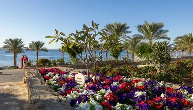 Continental Plaza Beach Resort
