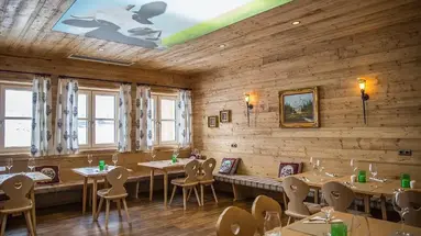 COOEE alpin Dachstein