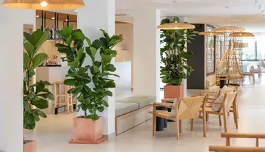 Copaiba by Honne Hotels