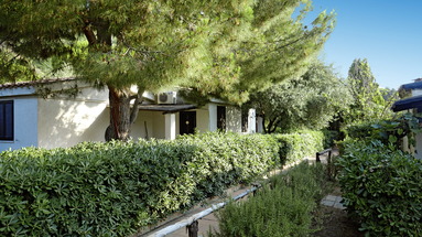 Cora Club