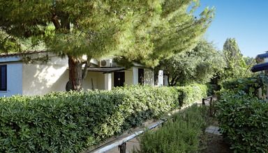 Cora Club