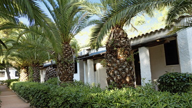 Cora Club