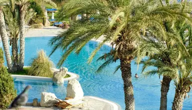 Coral Beach & Resort 