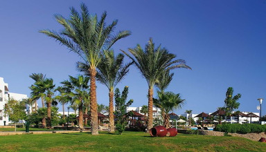 Coral Beach Rotana Montazah