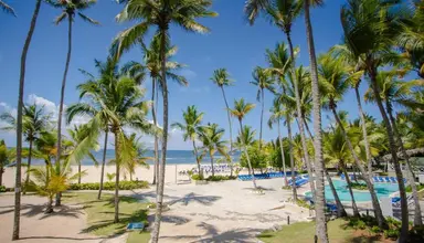 Coral Costa Caribe