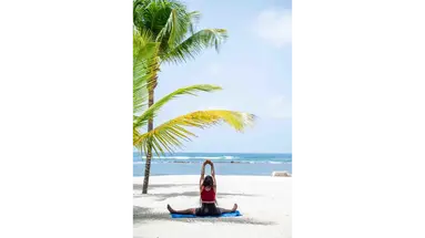 Coral Costa Caribe