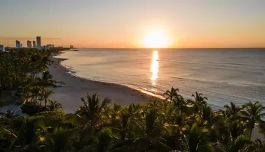 Coral Costa Caribe