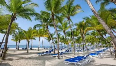 Coral Costa Caribe