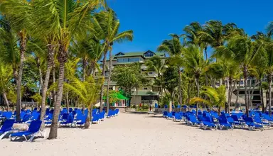 Coral Costa Caribe
