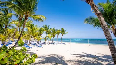 Coral Costa Caribe