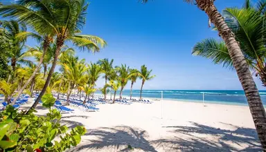 Coral Costa Caribe