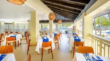 Coral Costa Caribe